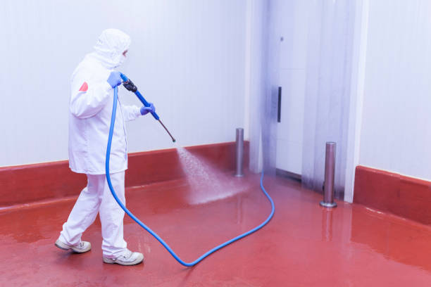 Paint Preparation in Spring Grove, PA